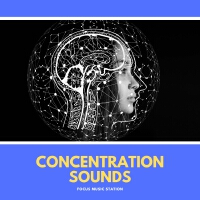 Concentration Sounds - Focus Music Station