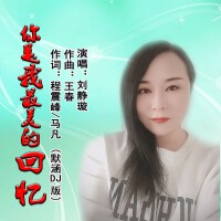 你是我最美的回憶（DJ默涵版）