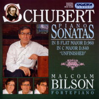 Schubert: Piano Sonatas Vol. 5專輯_Malcolm BilsonSchubert: Piano Sonatas Vol. 5最新專輯