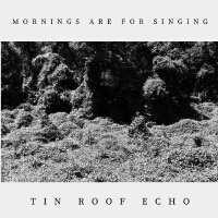 Tin Roof Echo歌曲歌詞大全_Tin Roof Echo最新歌曲歌詞