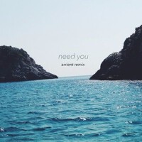 Need You (Arrient Remix)