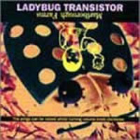 The Ladybug Transistor