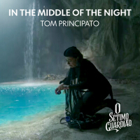 In the Middle of the Night專輯_Tom PrincipatoIn the Middle of the Night最新專輯