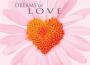 Dreams of Love專輯_angela mariaDreams of Love最新專輯