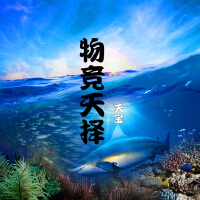 天寶歌曲歌詞大全_天寶最新歌曲歌詞