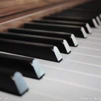 PianO.圖片照片_PianO.