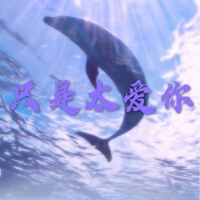 撒旦歌曲歌詞大全_撒旦最新歌曲歌詞