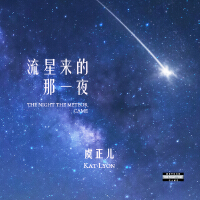 流星來的那一夜