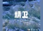 黑加倫歌曲歌詞大全_黑加倫最新歌曲歌詞