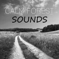 Calm Forest Sounds – Quiet Sounds for Long Sleep,