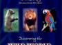 Discovering The Wild World專輯_Ron AllenDiscovering The Wild World最新專輯