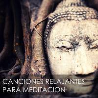 Meditacion Budista Maestros歌曲歌詞大全_Meditacion Budista Maestros最新歌曲歌詞