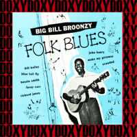 Folk Blues