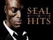 Best 1991-2004 - Sea專輯_SealBest 1991-2004 - Sea最新專輯