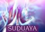 Suduaya歌曲歌詞大全_Suduaya最新歌曲歌詞