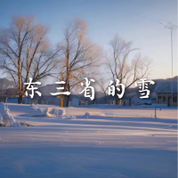 東三省的雪