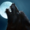 Werewolves圖片照片