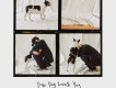 Your Dog Loves You專輯_콜드 (Colde)Your Dog Loves You最新專輯