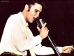 Elvis Presley圖片照片_Elvis Presley