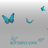 Butterfly Love