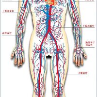 動脈音樂圖片照片_動脈音樂