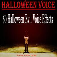 Halloween Voice歌曲歌詞大全_Halloween Voice最新歌曲歌詞