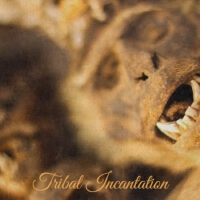 Tribal Incantation專輯_Tawin QMTribal Incantation最新專輯