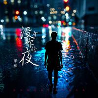 沒有你的夜