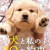日本電影狗狗與我的十個約定