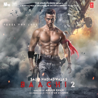 Baaghi 2