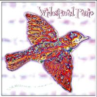 Widespread Panic圖片照片_Widespread Panic