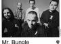 Mr. Bungle