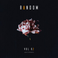 Random, Vol. 2