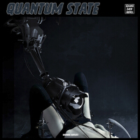 Quantum State