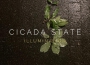 Cicada State歌曲歌詞大全_Cicada State最新歌曲歌詞