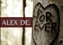 Love Forever專輯_Alex De.Love Forever最新專輯