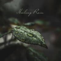 Healing Rain (Deep Sounds for Relaxation Meditatio專輯_Raindrops Healing MuHealing Rain (Deep Sounds for Relaxation Meditatio最新專輯