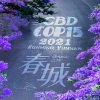 春城（cop15昆明）