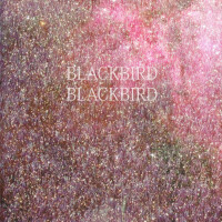 Summer Heart專輯_Blackbird BlackbirdSummer Heart最新專輯