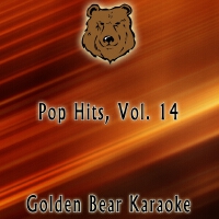 Karaoke Pop Hits, Vol. 14