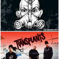 Transplants圖片照片_Transplants