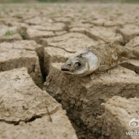 Arid圖片照片_Arid