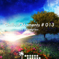 Chillout Moments # 013專輯_ProgSoundMusicChillout Moments # 013最新專輯