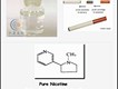 NICOTINE圖片照片