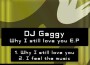 Why I Still Love You E.P.專輯_DJ GaggyWhy I Still Love You E.P.最新專輯