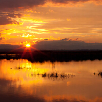 Evening圖片照片_Evening