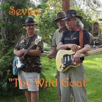 Seven專輯_The Wild GoatSeven最新專輯