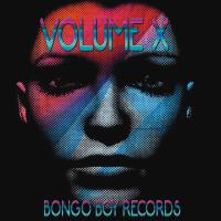 Bongo Boy Records Volume X