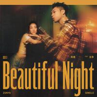 Beautiful Night專輯_同理 ZunyaBeautiful Night最新專輯