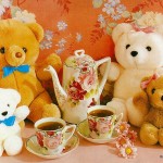 Teddybears圖片照片